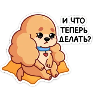 ☹️ И ЧТО ТЕПЕРЬ ДЕЛАТЬ? Hund, Welpe, traurig, verwirrt, Frage, süß, Cartoon telegram sticker