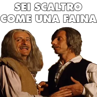 🦝 SEI SCALTRO
COME UNA FAINA italien, expression, belette, sournois, malin whatsapp sticker