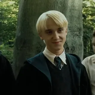 🐍 Draco Malfoy Harry Potter Draco Malfoy, Harry Potter, Slytherin, estudiante, mago whatsapp sticker