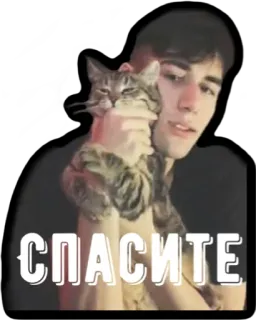 😵 СПАСИТЕ кот, мужчина, русский, помощь, спаси меня whatsapp sticker