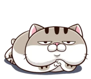 😒 Katze, Tier, Aufkleber, Cartoon, süß, lustig whatsapp sticker