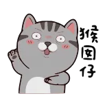 🤨 chat, autocollant, mignon, animal whatsapp sticker