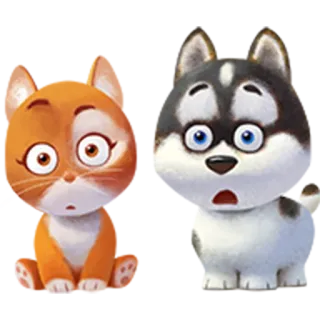 😯 gato, perro, animales, lindo, husky telegram sticker