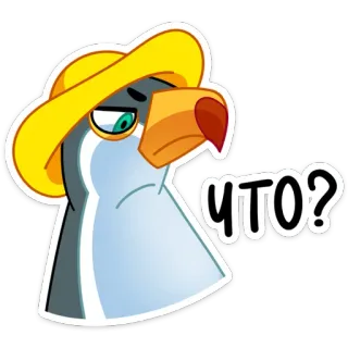 😒 ЧТО? seagull, bird, question, what, russian telegram sticker