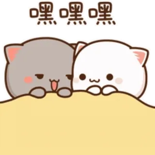 🥰 嘿 嘿 嘿 고양이, 귀여운, 빼꼼, 동물, 카와이 whatsapp sticker