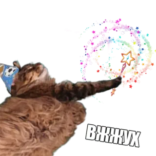 🧙‍♂ ВЖЖУХ кот, магия, блестки, животное, милый telegram sticker