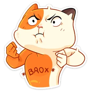 💪 BROX แมว, การ์ตูน, โกรธ, สติกเกอร์, บรอกซ์ telegram sticker