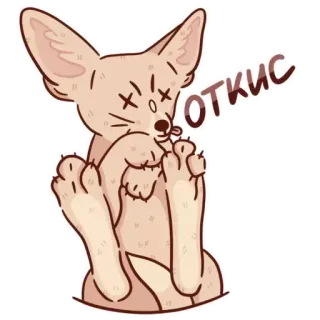 😵 ОТКИС fox, sticker, cartoon, animal, fennec fox telegram sticker