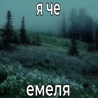 ⁉ Я че емеля mème russe, texte, forêt, drôle, paysage telegram sticker