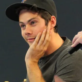 📎 dylan o'brien, aktor, potret, orang, selebriti telegram sticker