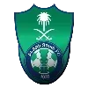 🇸🇦