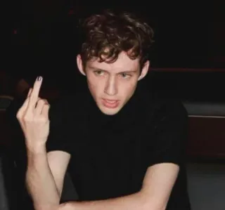💖 Stinkefinger, Beleidigung, unhöflich, beleidigend, genervt, respektlos telegram sticker