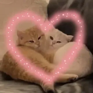♡ 𝖒𝖎𝖓 𝖒𝖎𝖔 4 ♡ — @stckrRobot telegram stickers