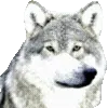 🐺