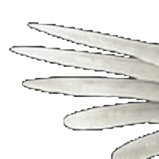 ⭐