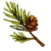 🌲