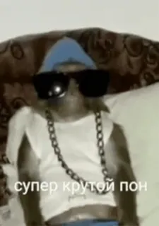 🐵 супер крутой пон Affe, Sonnenbrille, Gangster, Kette, lustig telegram sticker