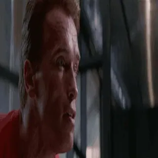 😉 Arnold Schwarzenegger Terminator 2: Judgment Day telegram sticker