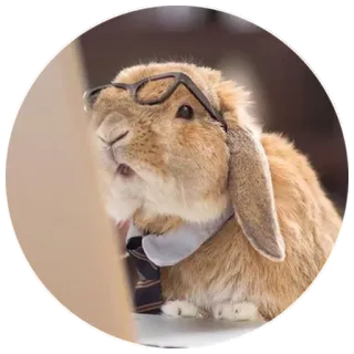 😳 rabbit, bunny, glasses, tie, animal, pet, cute telegram sticker