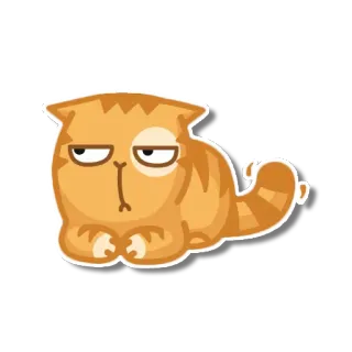 😒 gato, animal, lindo, mascota, naranja, dibujos animados telegram sticker