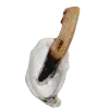 🦪