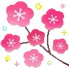 🌺