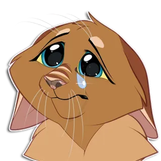 😢 gato, triste, llorando, emoción, animal, dibujos animados telegram sticker