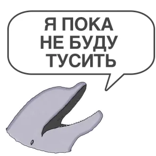 🙅‍♂️ Я ПОКА
НЕ БУДУ
ТУСИТЬ delfín, texto, ruso, pegatina whatsapp sticker