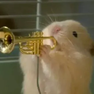 🥳 hamster, trompette, animal, musique, rongeur, mignon, instrument telegram sticker