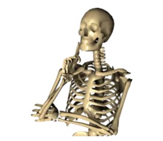 🤔 scheletro, pensare, ossa, anatomia, umorismo telegram sticker