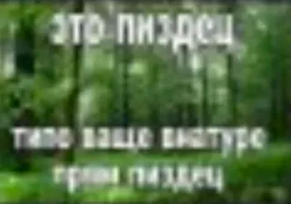 😳 ЭТО ПИЗДЕЦ ТИПО ВАШЕ ВНУТРЕ ГРЯЗИ ПИЗДЕЦ russian swear word, nature, forest, offensive, vulgar telegram sticker