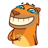 Jonny Сapybara telegram stickers