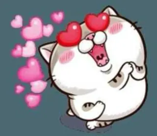 😍 Katze, Herz, Liebe, Süß, Cartoon telegram sticker