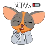 СберКот Animated 3 @TgSticker telegram stickers