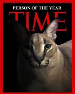 🌟 PERSON OF THE YEAR cat, floppa, big floppa, caracal, meme, time magazine, person of the year telegram sticker