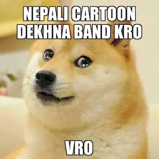 🥺 NEPALI CARTOON DEKHNA BAND KRO
VRO doge, 表情包, 尼泊尔, 卡通, 搞笑 telegram sticker