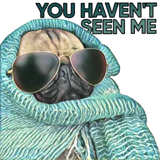 😎 YOU HAVEN'T SEEN ME 퍼그, 개, 선글라스, 변장, 밈, 동물 telegram sticker
