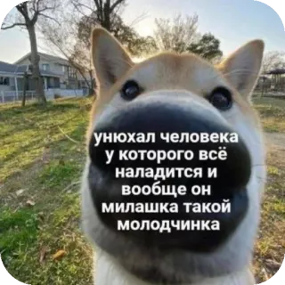 Больше стиков тут: @stikery4 whatsapp stickers