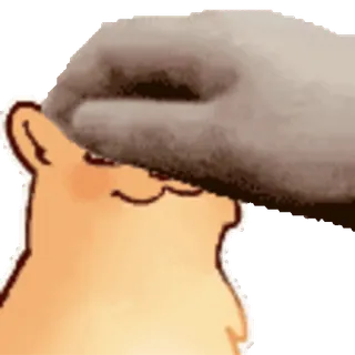 😻 streicheln, Kopf, Hund, süß, Tier, Meme telegram sticker