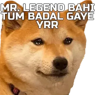 🙂 MR. LEGEND BAHI TUM BADAL GAYE YRR pies, mem, smutny, shiba inu, hindi whatsapp sticker