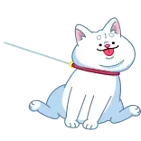 🙃 cat, white cat, cute, cartoon, animal, pet telegram sticker