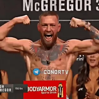 🦁 Conor McGregor McGregor Conor McGregor, UFC, fighter, boxing, mma, sports telegram sticker