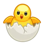 🐣