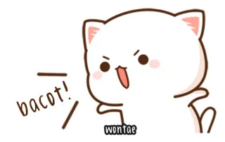 🍥 bacot! Katze, Cartoon, Indonesisch, Slang, Wut telegram sticker