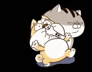 🤫 mèo, chó, dễ thương, động vật, hoạt hình, hài hước whatsapp sticker