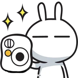 📷 conejo, cámara, lindo, brillos, destellos telegram sticker