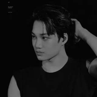 🏰 Kai kpop, idol, singer, artist, dancer whatsapp sticker