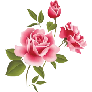 🌖 flower, rose, pink, floral, nature, plant, blossom telegram sticker