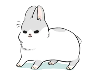 😊 conejo, conejito, animal, lindo, kawaii, mascota telegram sticker
