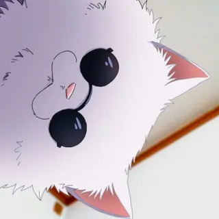 🐈 Katze, Tier, Weiß, Flauschig, Brille, Anime telegram sticker